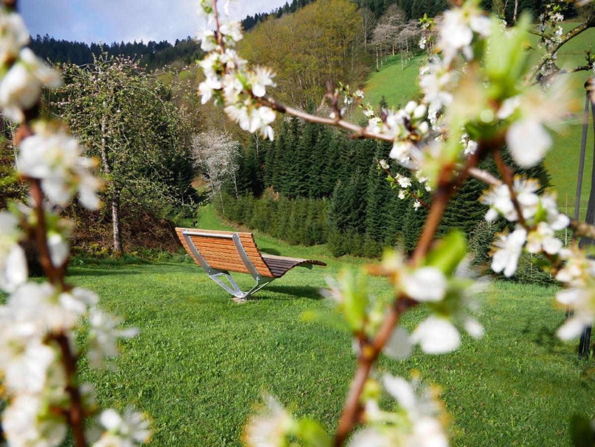 Buehlbauernhof Villa Bad Peterstal-Griesbach Exterior foto